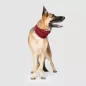Mobile Preview: Dog Scarf Canada Pooch red