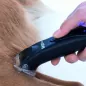 Mobile Preview: Hundeschermaschine Aesculap Base Cut beim scheren eines Hundes in der Vorschau