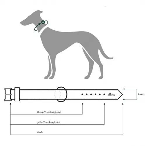 Hundehalsband Hunter Swiss richtige Groesse ermitteln